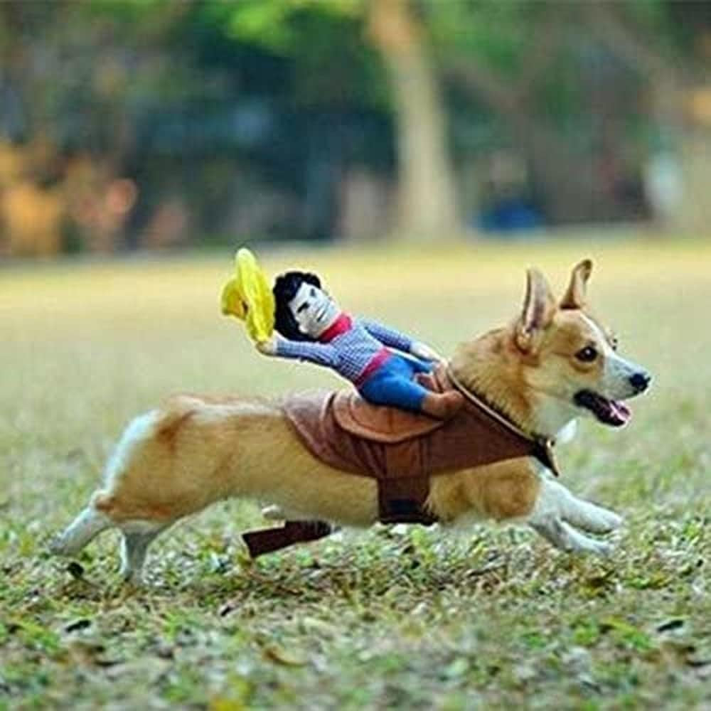 Halloween Cowboy Costume for Dogs and Cats - Novelty Party Apparel for Pets (X-Large)